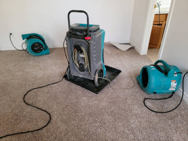  Decorah, IA Water damage restoration Pros