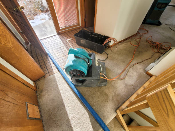 Best Ceiling water damage repair  in Decorah, IA