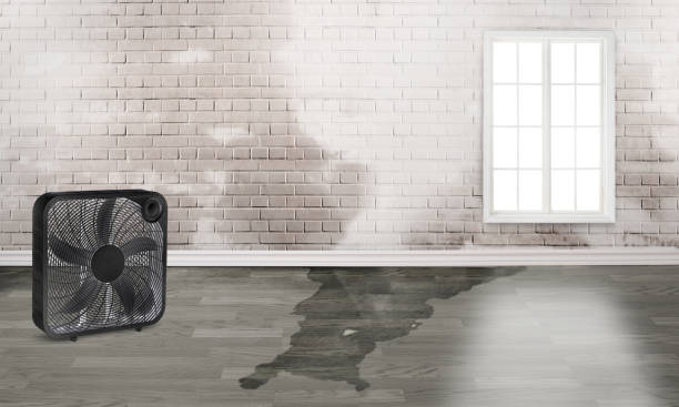 Best Water damage restoration near me  in Decorah, IA