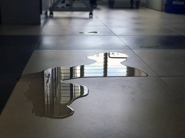 Best Emergency water damage restoration  in Decorah, IA