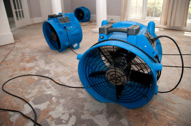 Best Commercial water damage restoration  in Decorah, IA