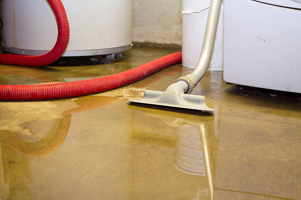 Best Flood restoration services  in Decorah, IA