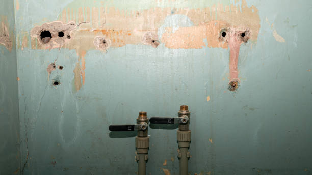 Best Sewage cleanup and water damage restoration  in Decorah, IA