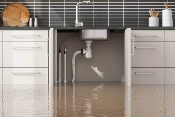 Best Water damage contractors near me  in Decorah, IA