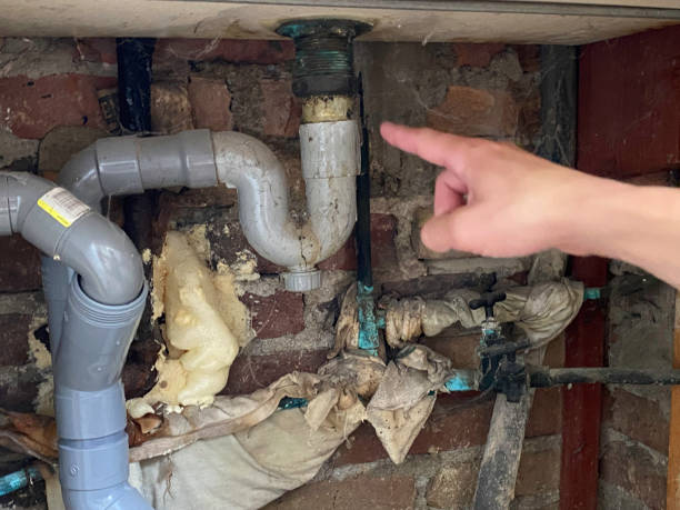 Best Water damage restoration near me  in Decorah, IA
