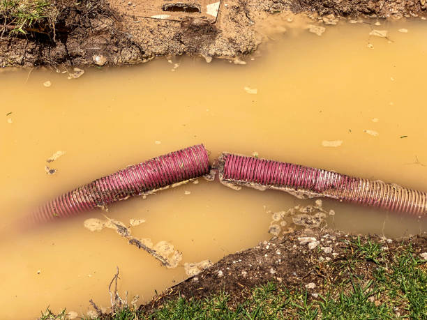 Best 24/7 water damage repair  in Decorah, IA